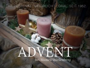 Advent bei Blumen Quellenberg