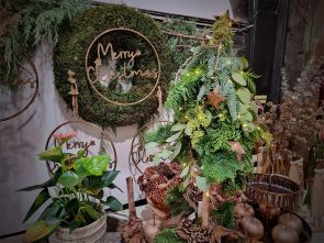 Adventszeit bei Blumen Quellenberg