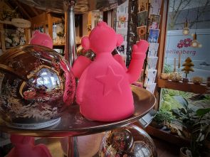 Adventszeit bei Blumen Quellenberg