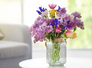 Frühling - auch für den Wohnraum!