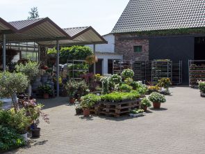 Ihr Blumenparadies am Schattweg in Kamen-Heeren