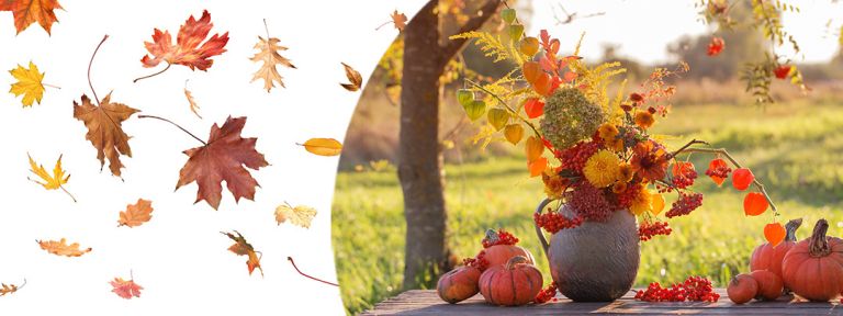 Wir l(i)eben den Herbst!