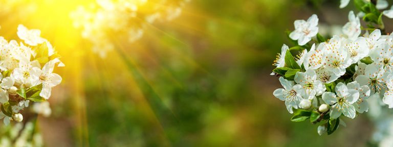 Fr&uuml;hlingsgef&uuml;hle 2026